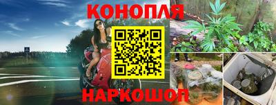 прущие грибы Волгодонск