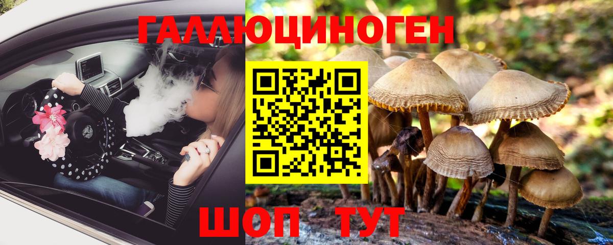 Реж  Галлюциногенные грибы прущие грибы  где купить наркоту  Вход с VPN 